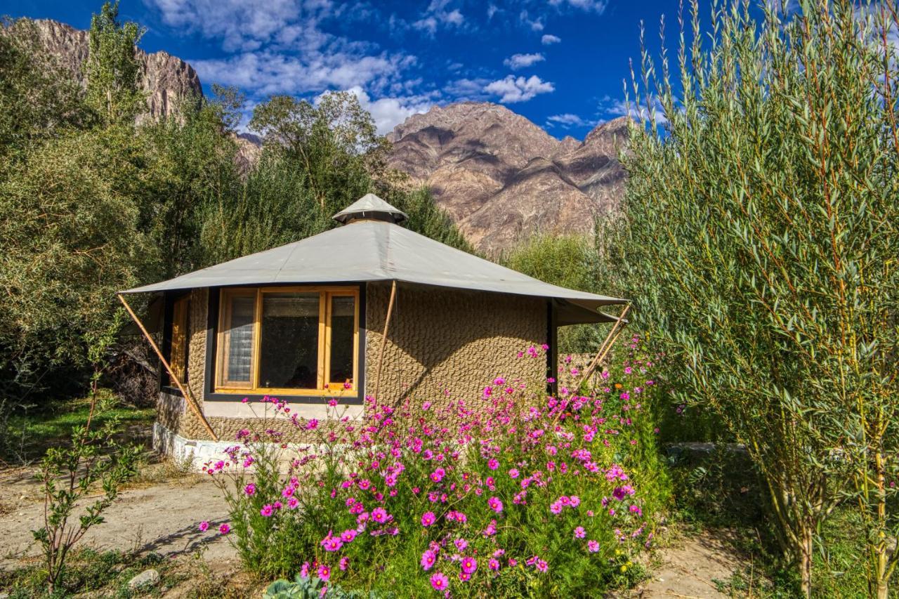 Chalet Seabuckthorn - Hunder Hundar Εξωτερικό φωτογραφία